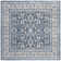 Jase Charleston Performance Oriental Rug