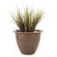 Norman Planter-14486366