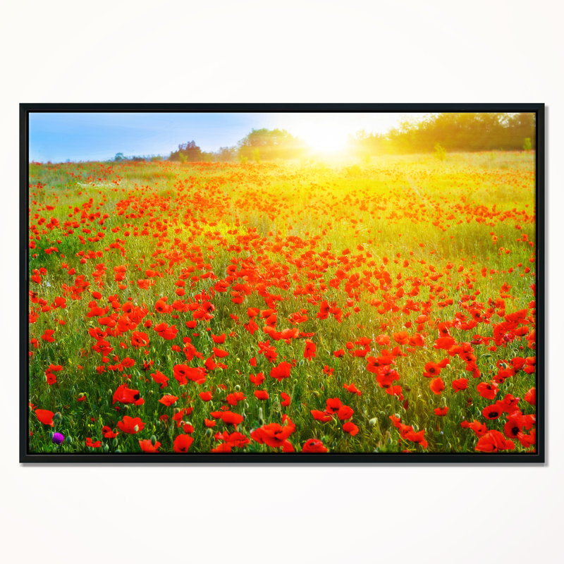 «Beautiful Sunshine over Poppy Fields», reproduction de photo sur toile tendue encadrée, H 30 po x l 40 po x P 1,5 po