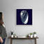 « Indigo shells V » par vision studio-impression-567973475-567973457