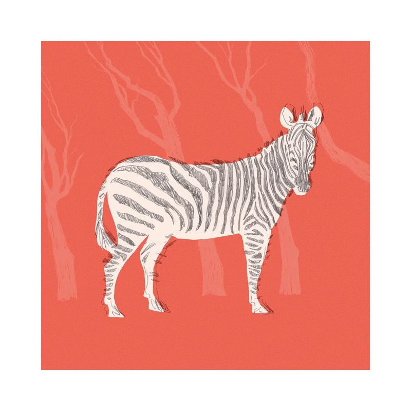 Plains Zebra I by Jacob Green - Wrapped Canvas Print, 30.48 cm H x 30.48 cm W