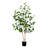 Faux Birch Tree in Pot Liner-1667893478