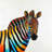 Profile View of a Zebra - Framed Canvas Decor