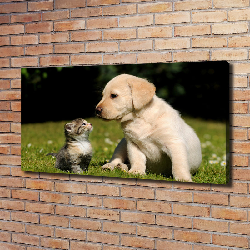 Dog And Cat On The Meadow - No Frame Print on Glass, 60cm H x 120cm W x 2cm D, Canvas