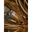 Lustre sphérique spoutnik à 15 lumières Brence-1450914878
