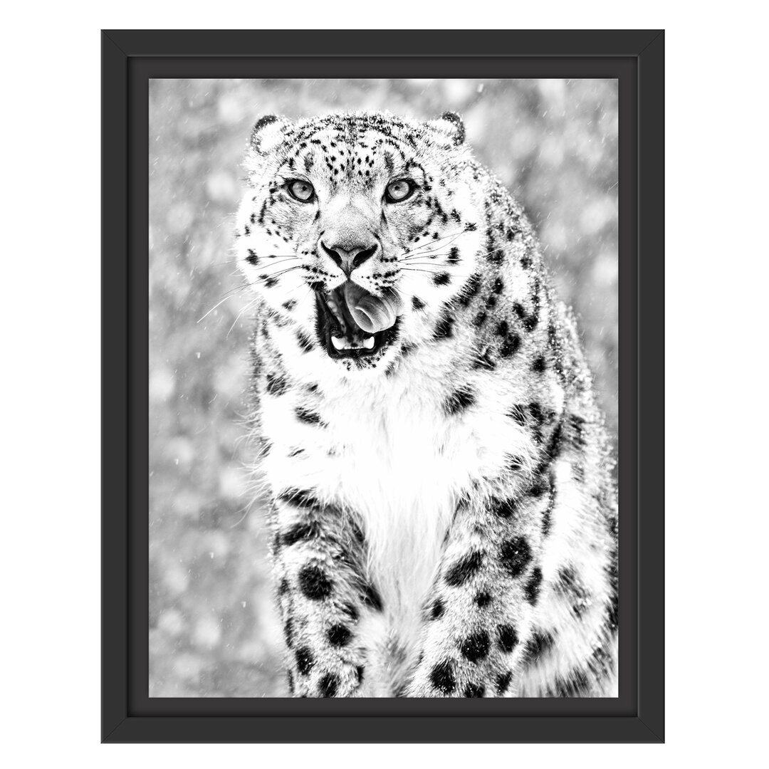 Gerahmtes Wandbild LeopardSchnee Kunst B&W