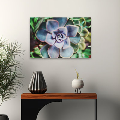 Plants, Flowers, Landscape, Nature, Succulence Beauty Wall Art