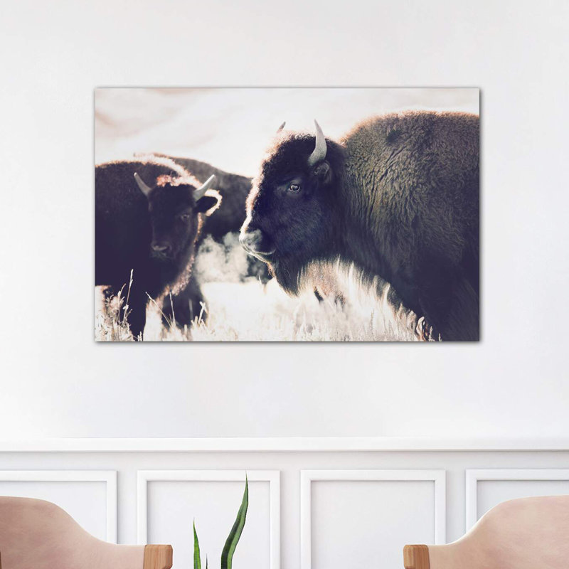 Photographie buffalo, Toile tendue, H 18 po x l 26 po x P 1,5 po
