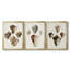 Sowerby Shells I - Toile tendue avec châssis sur mesure - 3 pièces-571147848-571147841