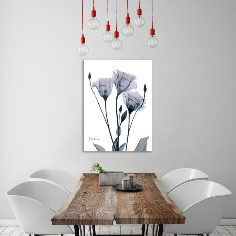 Midnight Gentian I - Wrapped Canvas Print, 122cm H x 122cm W