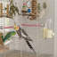 5.9 Bird Cage