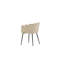 Bryton Velvet Side Chair
