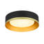 Matte Black and Brass Drum LED Flush Mount with Frosted Glass Shade
