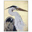 Heron Beauty