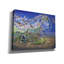  «Trail Of Restoration» par Verena Wild, art mural sur toile, 54 po x 40 po-549446294