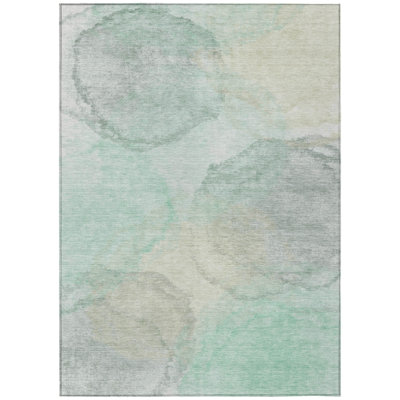 Machine Washable Indoor/Outdoor Chantille ACN2443 Casual Rug