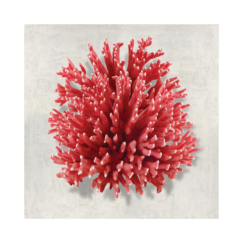 Coral Red I by Caroline Kelly - Wrapped Canvas Print, 45.72 cm H x 45.72 cm W