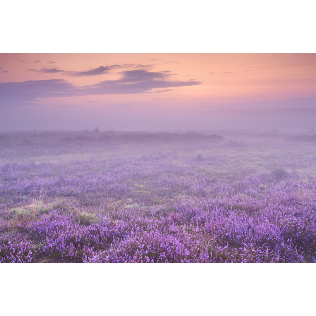 Die Niederlande im Morgengrauen von Sara_winter - Fotodruck