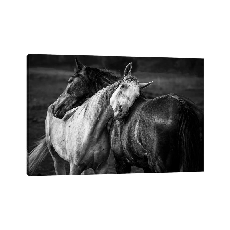 " Warm Rain " by Niko Chapa, No Mat, 18'' H x 26'' W x 1.5'' D, Wrapped Canvas