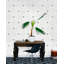 Papier peint Schumacher x David Oliver Asolo-30053650