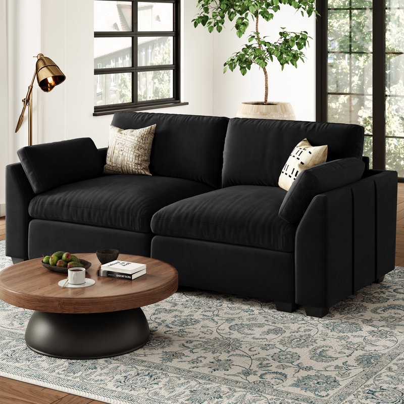 Velvet 2-Seat Sofa with Removable Cushions and Detachable Cover, Black Velvet