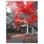 Floral «Red Fall Tree in Central Park», reproduction de photo sur toile tendue-29507424