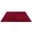 Oriental Indoor / Outdoor Area Rug-1350808462