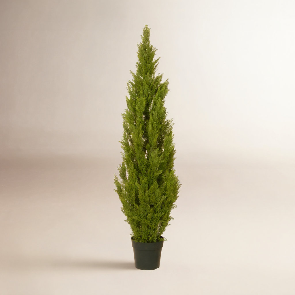 The Holiday Aisle® Cedar Tree, 65" H x 13" W x 13" D