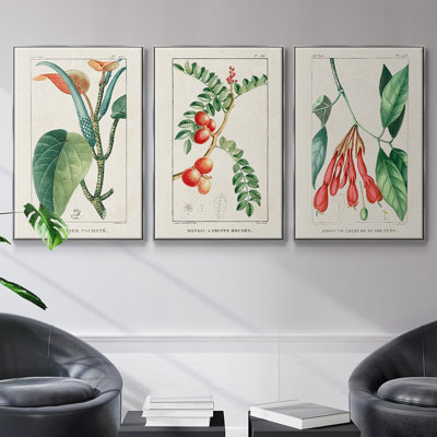 Turpin Tropical Botanicals I