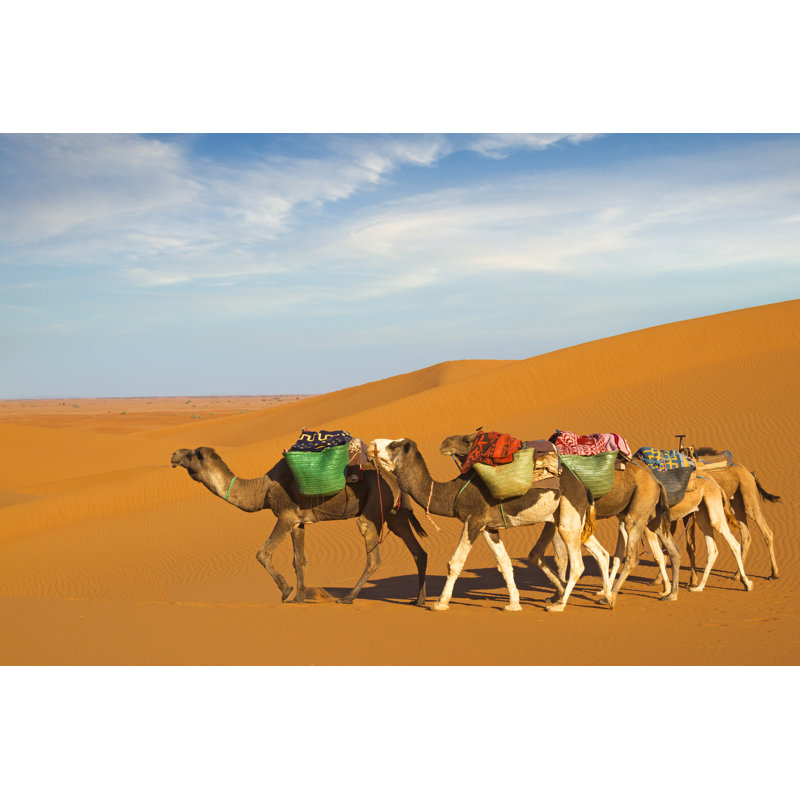 «Desert Caravan» par Pazhyna - photographie sur toile tendue, H 20 po x l 30 po