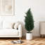 Plant-184098141