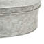 Saniya Food Storage Container