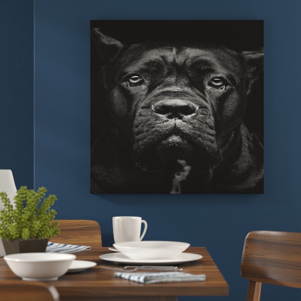 Leinwandbild Cane Corso Portrait