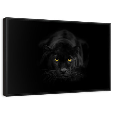 Rare Black Panther