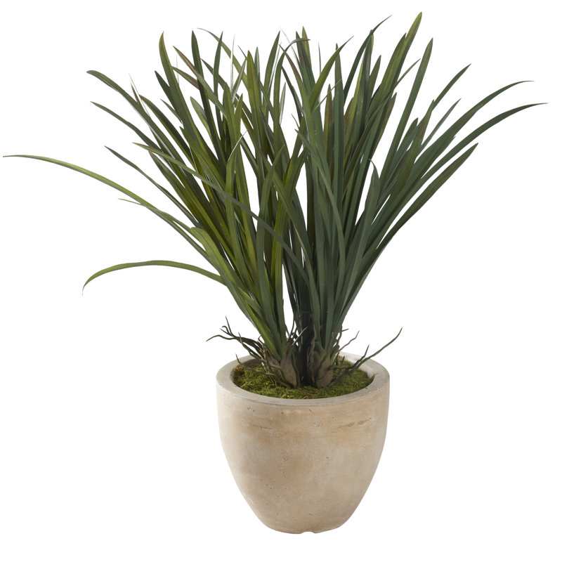 Jardinière Areca, Vert