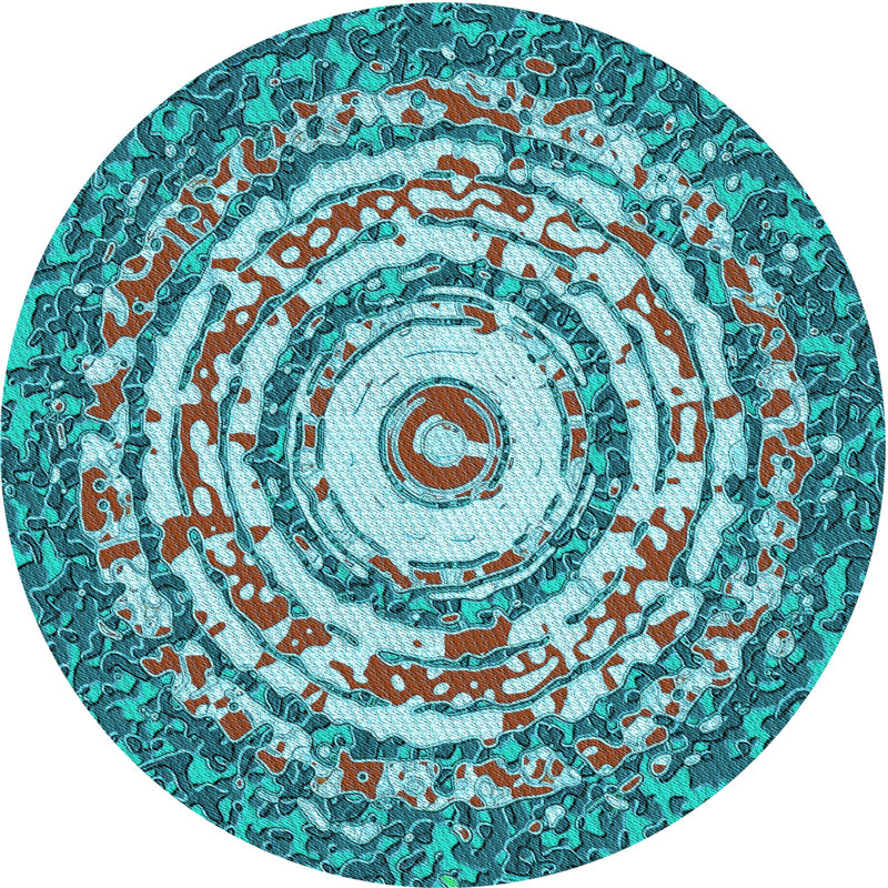 Indoor Rug, Round 6'