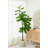 70.9 " H Faux Fiddle Leaf Fig Tree in Cement Pot