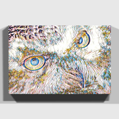 Snowy Owl Eyes - Wrapped Canvas
