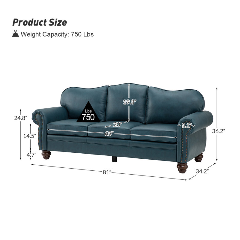 Damore 81'' Wide Genuine Leather Sofa, Turquoise