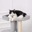 Masham 381cm H Cat Tree
