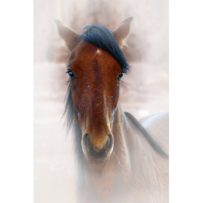 " Horse Portrait I "