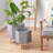 Anniston Pot Planter-162780113