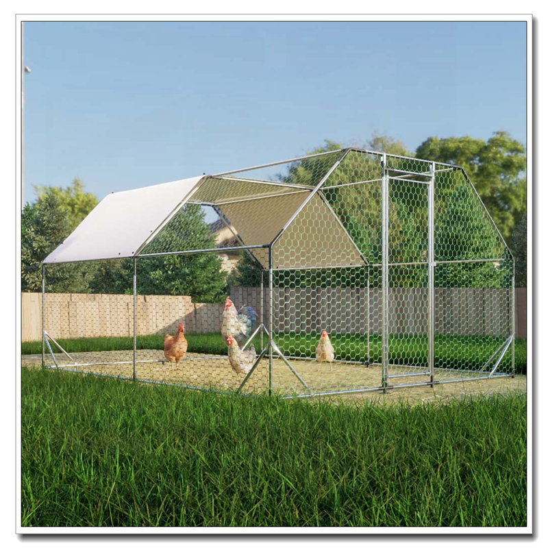 Poulailler 10 pi x 13 pi en métal galvanisé, H 76,32 po x l 119,28 po x P 154,08 po