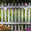 Integrated LED Deck