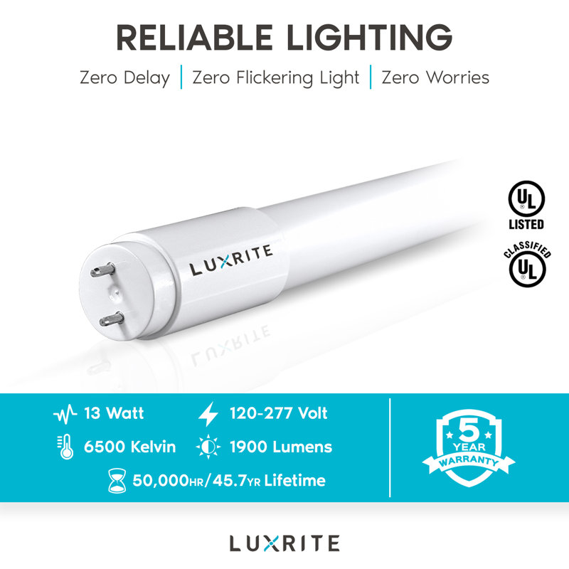 13 watts (32 watts équivalents), DEL T8, ampoule à intensité variable, culot G13 / à deux broches, 6 500 K