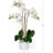 Keira Orchids Floral Arrangement in Pot