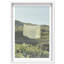 Floating Cotton II Print by Oliver Gal-1948079224-2079037237