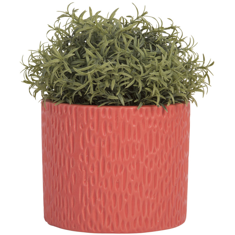 Pot à fleurs 5 po H
