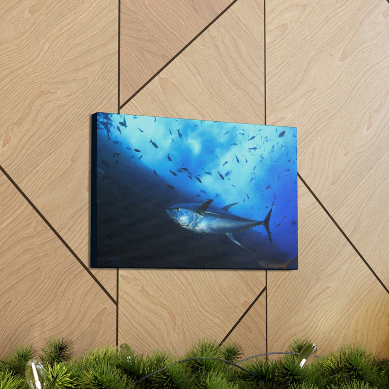 No Frame Print on Canvas, 27.94cm H x 35.56cm W