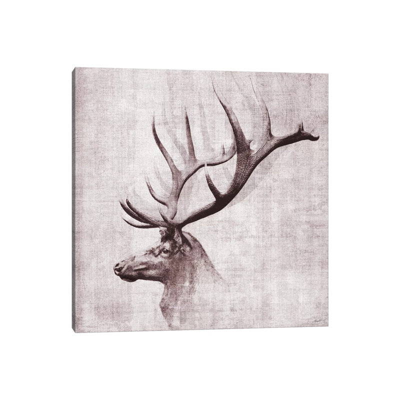 Open Range II by John Butler - Wrapped Canvas Gallery-Wrapped Canvas Giclée, 30.48 cm H x 30.48 cm W